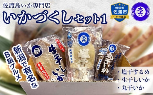 干物 イカ 佐渡沖産 3種 いかづくしセット1 佐渡島いか専門店 - 新潟県佐渡市｜ふるさとチョイス - ふるさと納税サイト