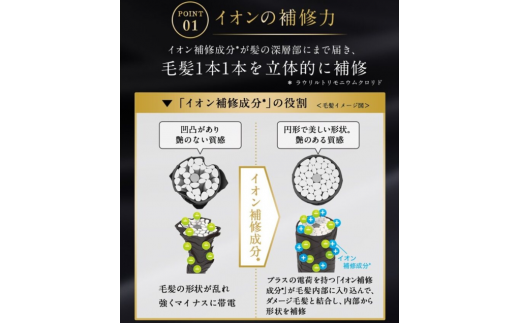 TSUBAKI プレミアムEX インテンシブリペア シャンプー コンディショナー つめかえ用 330mL 各2個 計4個【 ファイントゥデイ ツバキ 椿  美容 消耗品 久喜市 埼玉県 インテンシブリペア シャンプー コンディショナー 髪の修復 うるおい ツヤ髪 ボリュームアップ 髪のハリ ...