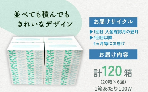 北欧風デザイン ボックスティッシュ定期便 計20箱 計6回 2か月に1回/ ティッシュペーパー ティッシュカバー ティッシュケース 箱ティッシュ  定期配送