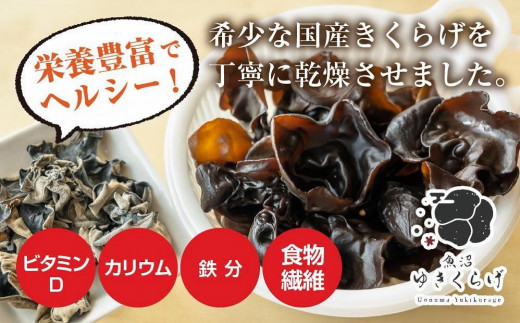 国産 乾燥 きくらげ 20g×4パック 計80g 小分け 栄養豊富 無農薬 無添加 オーガニック 自家栽培 雪国 魚沼ゆきくらげ キクラゲ 木耳  きのこ キノコ ビタミンＤ 肉厚 健康 食品 食物繊維 佃煮 歯ごたえ 菌床 食感 高品質 送料無料 新潟県 南魚沼市 - 新潟県南魚沼市 ...