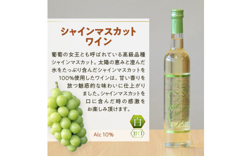 Premiumワインギフト（白）飲み比べ500ml×2本『シャインマスカットワイン2022・2023』（HO）C3-775 -  山梨県甲州市｜ふるさとチョイス - ふるさと納税サイト