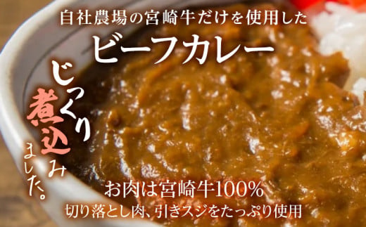 九州産黒毛和牛 カレー 4個セット 惣菜 晩御飯 晩ご飯 晩飯 夕飯 夜ご飯 夜食 洋風 和風 お肉たっぷり じっくり 煮込み 壱岐ファーム 自社農場  ビーフ 宮崎牛|イキイキフーズ株式会社