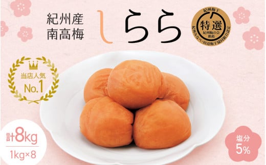 紀州産南高梅 梅干し しらら（塩分5％）1kg（500g×2入）×8個 / 梅干し 梅干 梅 和歌山 田辺 紀州南高梅 南高梅 うす塩 減塩 塩分控えめ  ご飯のお供 - 和歌山県田辺市｜ふるさとチョイス - ふるさと納税サイト