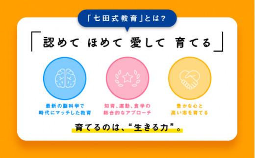 超可爱の しちだ小学生プリント6年生算数国語セット 語学・辞書・学習参考書 - christinacooks.com