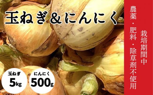自然栽培 玉ねぎ 5kg ＆ にんにく 500g 玉ねぎ にんにく 無農薬 愛媛県 松山市