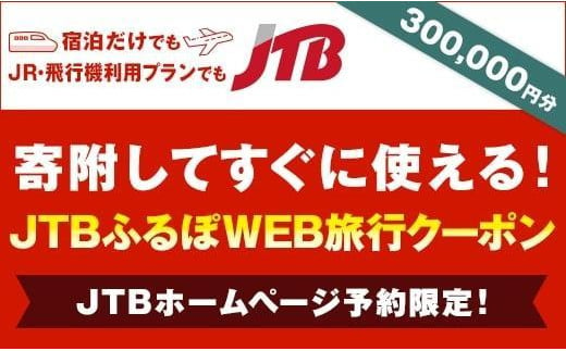 滋賀県】JTBふるぽWEB旅行クーポン（300