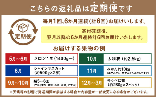 年６回定期便】熊本県果物定期便 採れたて旬の果物をお届け！ - 熊本県｜ふるさとチョイス - ふるさと納税サイト