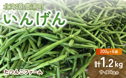 いんげん (200g × 6袋) 1.2kg サイズ混合 北海道 豊浦町 【ふるさと納税 人気 おすすめ ランキング 野菜 根菜 いんげんインゲン国産  バラ 詰合せ 混合 おいしい 美味しい 甘い 北海道 豊浦町 送料無料】 TYUF001 - 北海道豊浦町｜ふるさとチョイス - ふるさと納税 ...