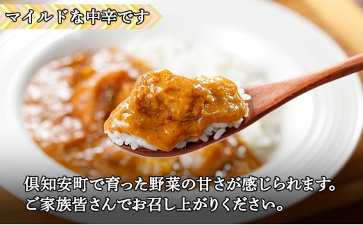 無地熨斗 倶知安 ポークカレー 中辛 計3個 北海道 カレー レトルト食品 豚肉 ポーク 野菜 じゃがいも お取り寄せ グルメ スパイス おかず お肉  牛肉 加工食品 - 北海道倶知安町｜ふるさとチョイス - ふるさと納税サイト