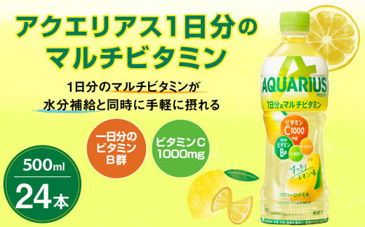 アクエリアス 1日分のマルチビタミン PET 500ml×24本 1ケース【コカコーラ】 水分補給 スポーツ飲料 清涼飲料水 常温 AQUARIUS  コカ・コーラ 熱中症対策 送料無料