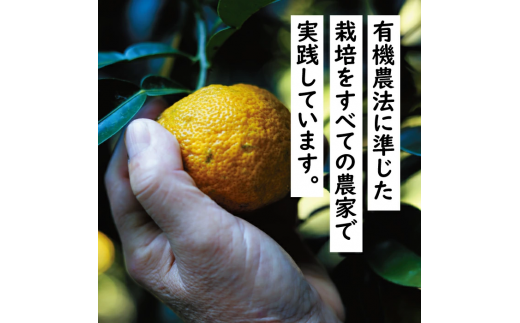 ゆず入り七味 「ぱっと馬路村」25g×6個 調味料 七味唐辛子 ゆず 柚子 柚子皮 果皮 ピリ辛 香辛料 ギフト お歳暮 お中元 のし 熨斗 産地直送  送料無料 高知県 馬路村 [613] - 高知県馬路村｜ふるさとチョイス - ふるさと納税サイト