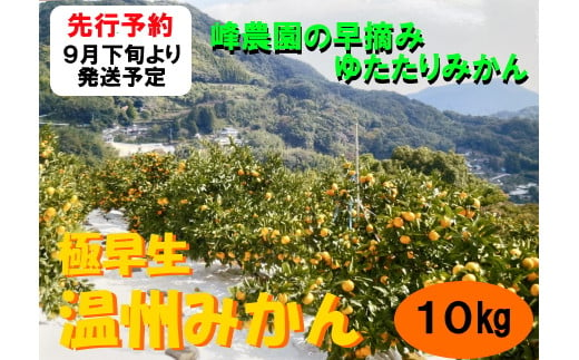 NB-13 峰農園の早摘みゆたたりみかん 10kg / 佐賀県太良町 | セゾンのふるさと納税