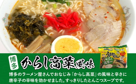 食べ比べ セット うまかっちゃん 豚骨ラーメン 10食 からし高菜風味5食 濃厚新味5食 計20食セット 博多ラーメン 博多らーめん とんこつラーメン  ラーメン 豚骨 麺 福岡県 福岡 九州 グルメ お取り寄せ 詰め合わせ 食べくらべ / 福岡県志免町 | セゾンのふるさと納税