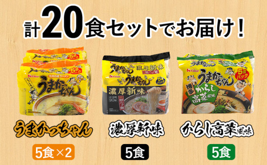 食べ比べ セット うまかっちゃん 豚骨ラーメン 10食 からし高菜風味5食 濃厚新味5食 計20食セット 博多ラーメン 博多らーめん とんこつラーメン  ラーメン 豚骨 麺 福岡県 福岡 九州 グルメ お取り寄せ 詰め合わせ 食べくらべ / 福岡県志免町 | セゾンのふるさと納税