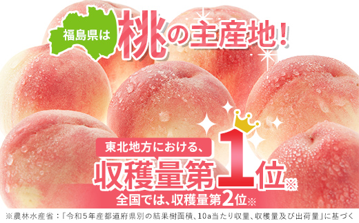 7月7日受付終了】家庭用 福島県産 あかつき 小玉 青秀 約5kg 2024年7月下旬～2024年8月上旬発送 先行予約 予約 不揃い 伊達の桃 桃  もも モモ 果物 くだもの フルーツ 名産品 国産 食品 F20C-585 - 福島県伊達市｜ふるさとチョイス - ふるさと納税サイト