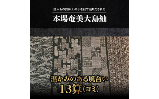 本場奄美大島紬】温かみのある風合いが特徴の13算 - 本場奄美大島紬 紬 絹織物 絣 伝統的工芸品 絹 反物 和装 着物 泥染め 手織り BV23 /  鹿児島県奄美市 | セゾンのふるさと納税