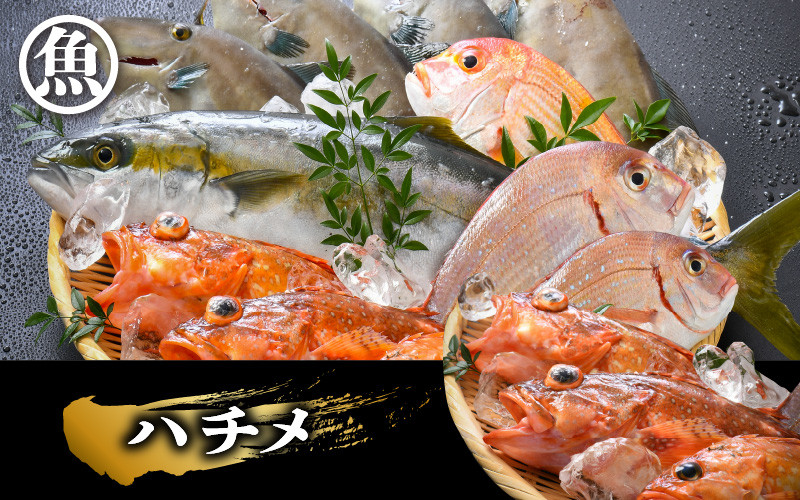 写真はイメージです。