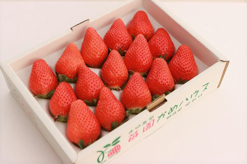 １５粒入りを２ケースお届けします