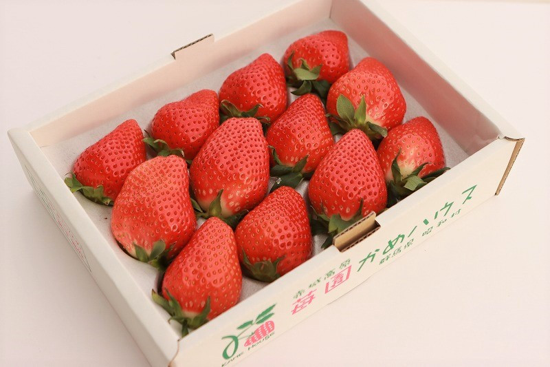 １２粒入りを２ケースお届けします