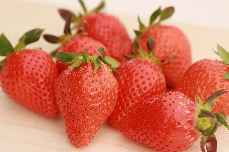 群馬のいちご　やよいひめ