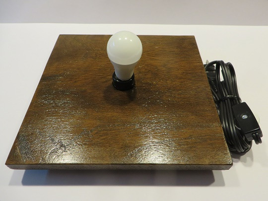 貝の表面はサンゴが付着し、海の中では周囲の色に溶け込んでいます