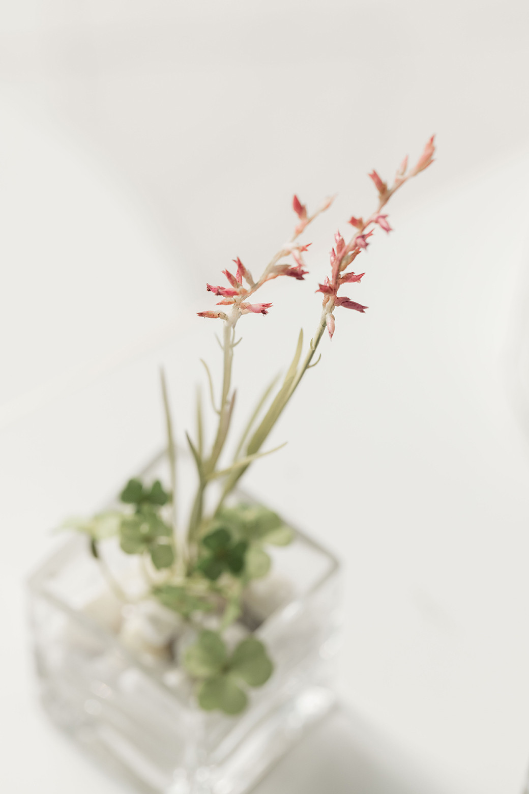 ※イメージです