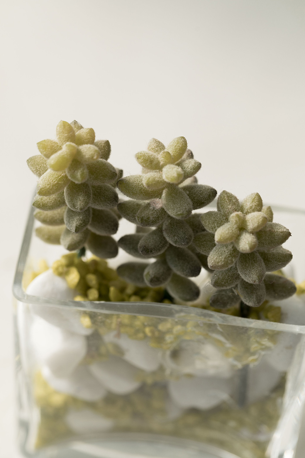 ※イメージです