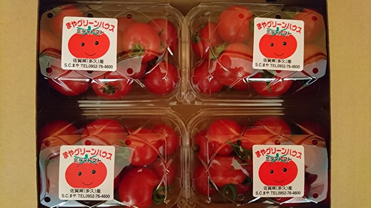 採れたてミディトマト（画像はイメージです）