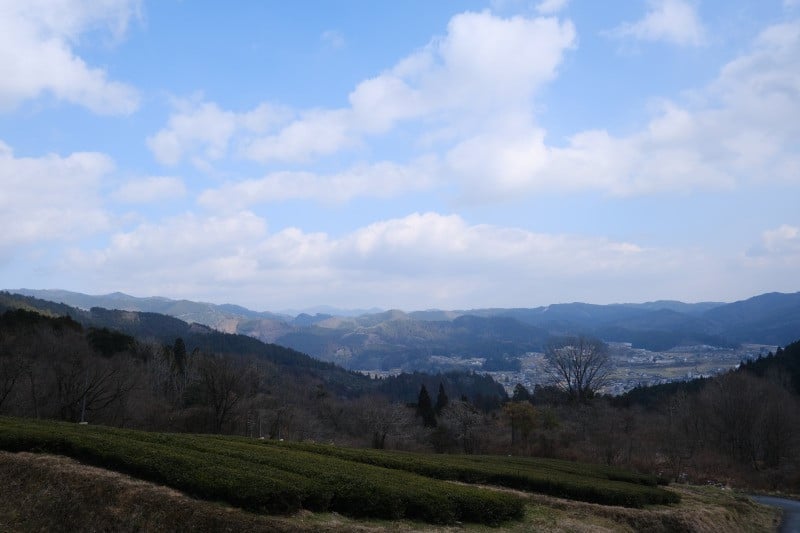 新見市大佐地域を見渡せる山すそに紅茶農園はあります。