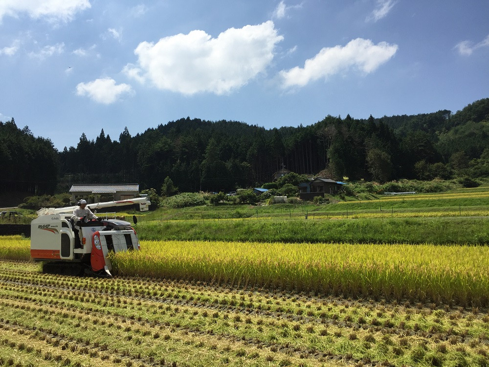 稲刈り風景（八百津町福地）