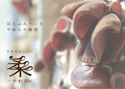 柔らかくてコリコリの食感♪