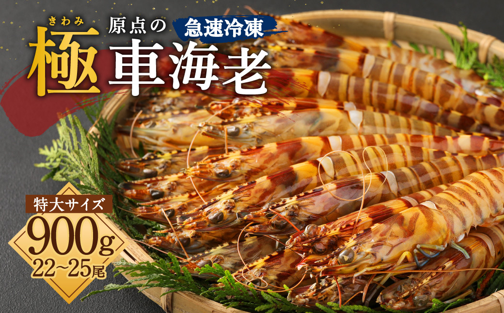 「極」 原点の車海老 「急速冷凍」 900g (22~25尾) 特大サイズ