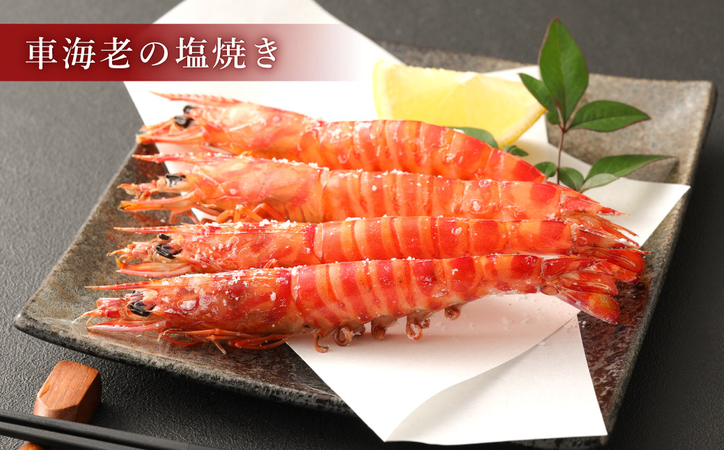 原点の 車海老 「急速冷凍」 1kg (35~40尾) 500g×2パック