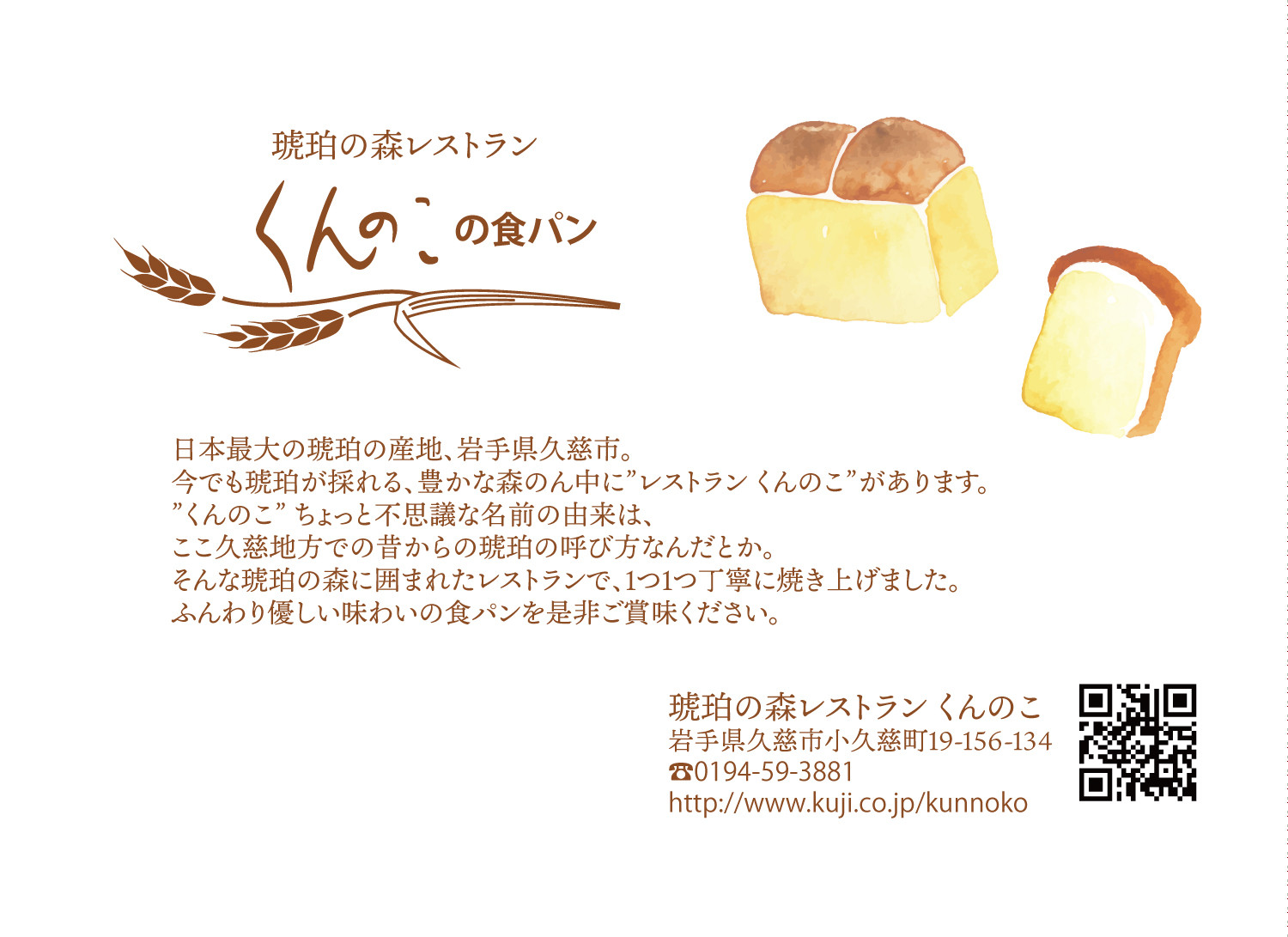 「くんのこ」ってなぁに？