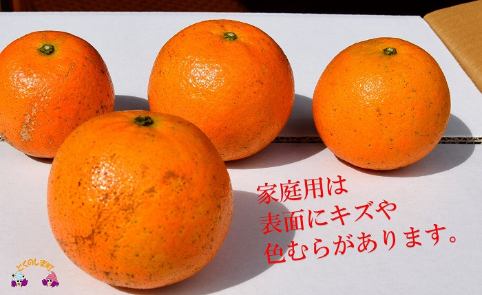 家庭用ですので、正直贈答用には向きませんが、中身はA品と同じ美味しさです。