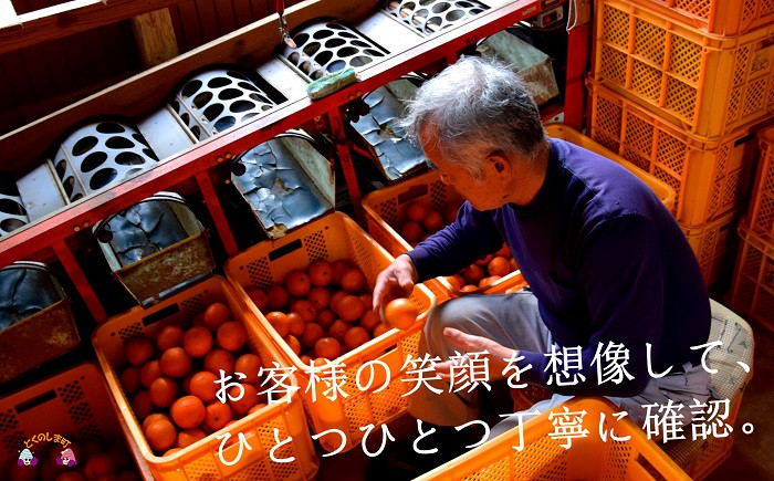 お客様に笑顔になってもらいたい。自分の農園で育った「たんかん」をしっかり確認してお届けします。