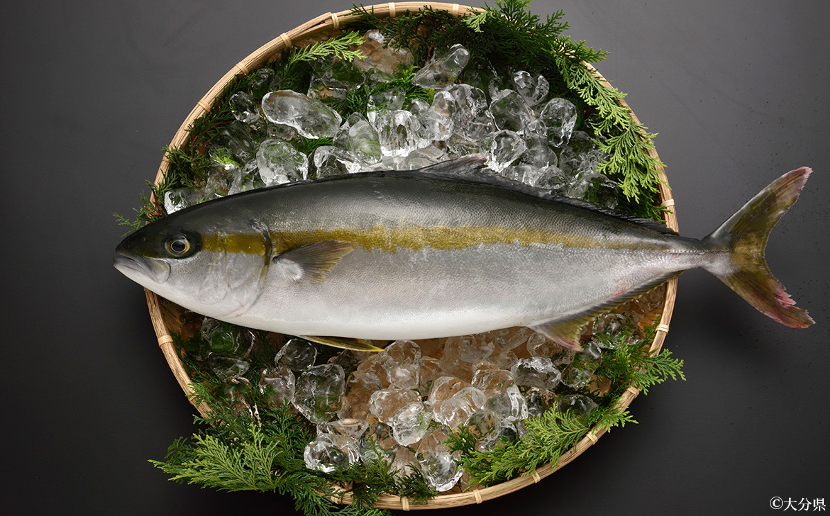 夏季にはさっぱりと味わうことができ、歯ごたえを楽しむことができます！