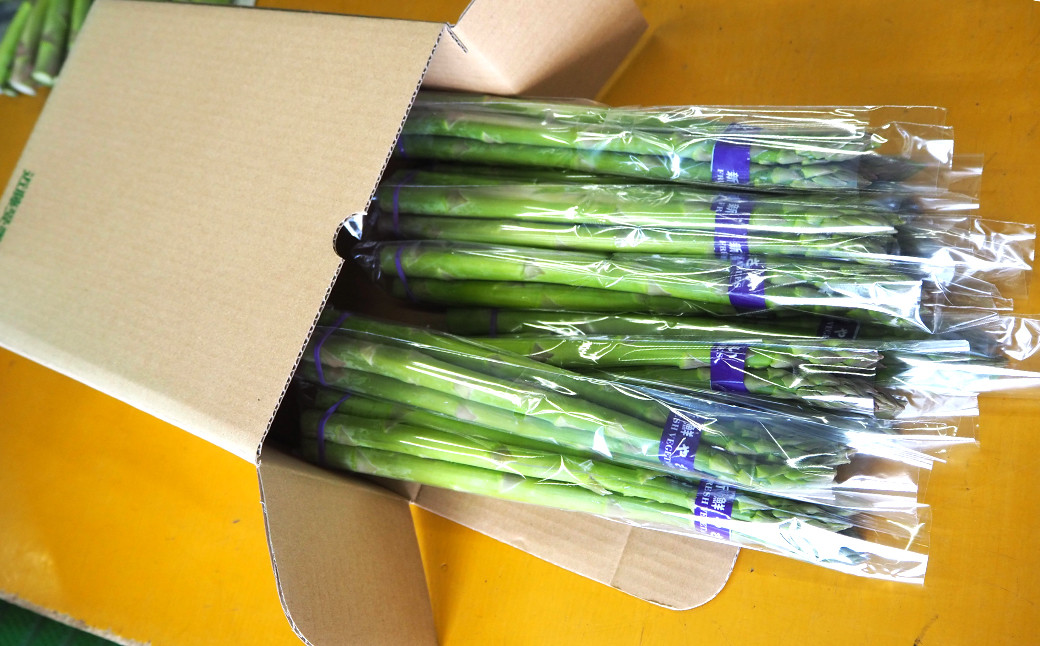 夏芽 アスパラガス 直方産 アスパラ Lサイズ 約1.5kg