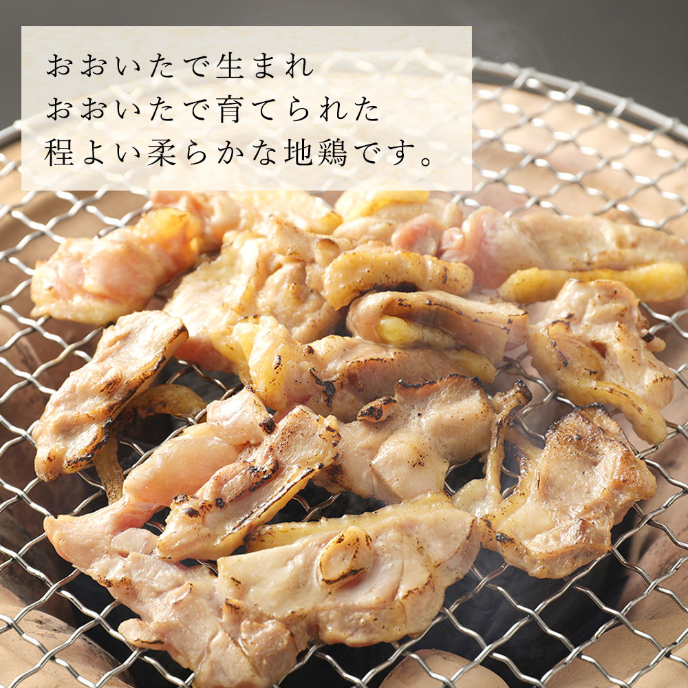 【チャレンジ応援品】おおいた冠地どり 焼肉セット1kg (モモ・ムネ）鶏肉 国産