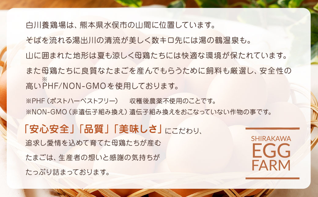 【6ヶ月定期便】 熊本県産 赤たまご 30個×6 計 180個 M～Lサイズ 鶏卵