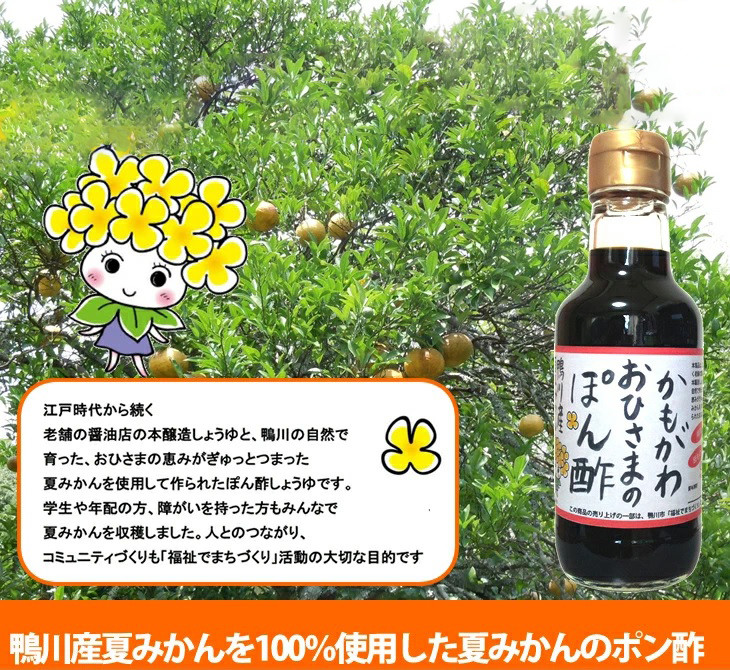 鴨川産夏みかんを使用した優しい味わいの「おひさまのポン酢」