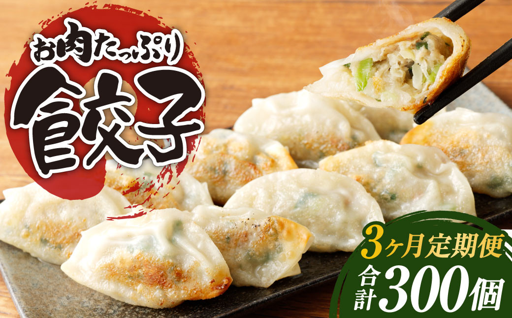 【3ヶ月定期便】お肉たっぷり餃子 約6kg(10個入×10パック×3回)