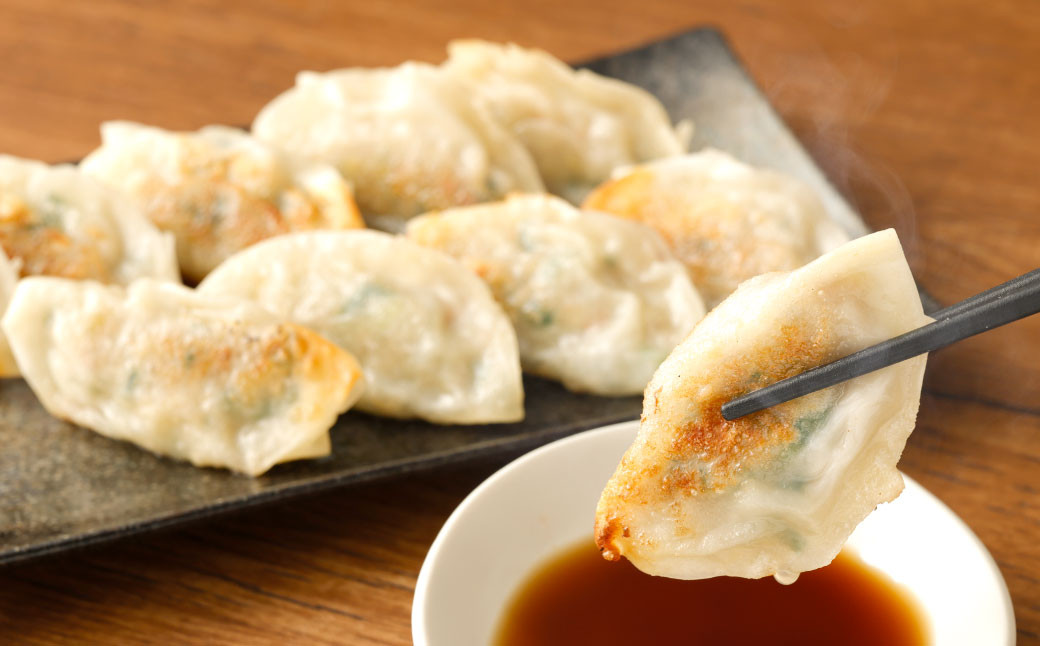 【3ヶ月定期便】お肉たっぷり餃子 約6kg(10個入×10パック×3回)