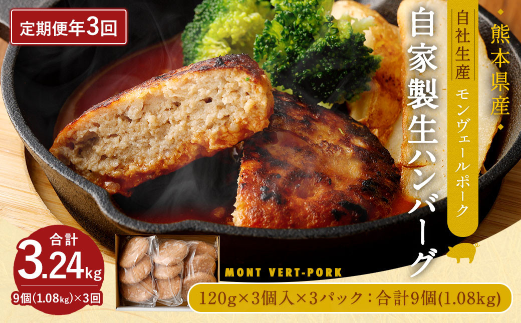 【 定期便 年3回 隔月】モンヴェールポーク 自家製生ハンバーグ 9個 合計27個