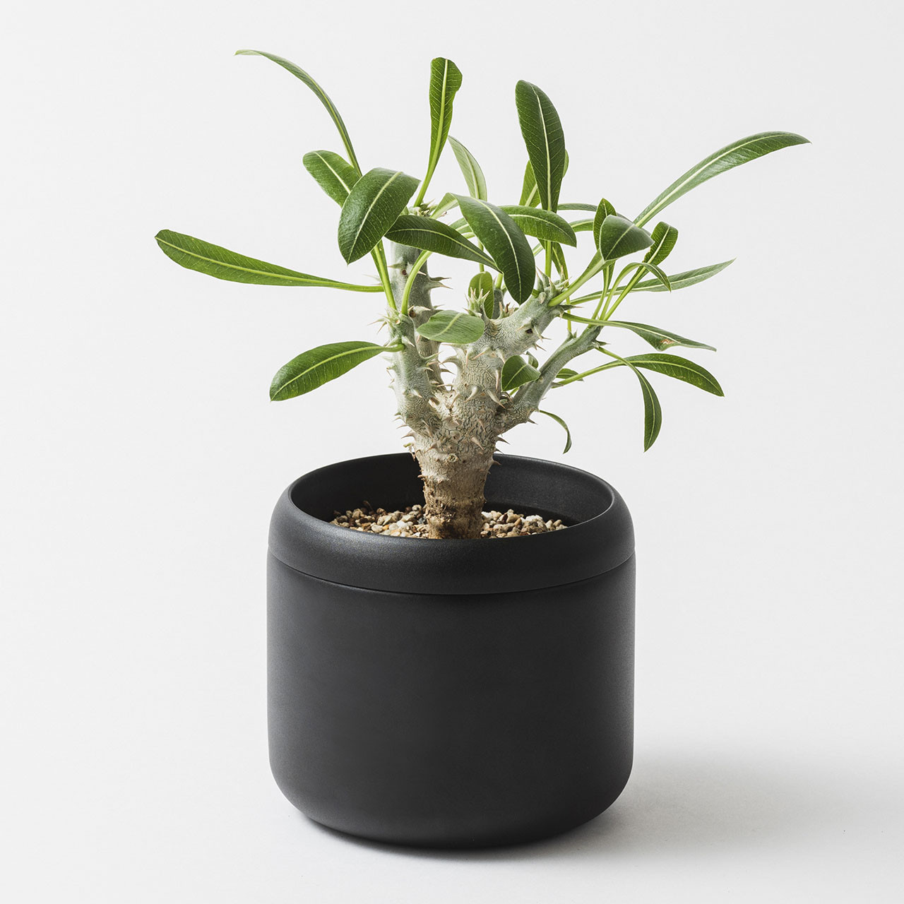 ※使用イメージ