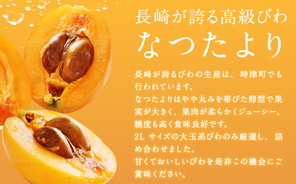 長崎びわ なつたより 250g×4パック（計1kg） 2Lサイズ