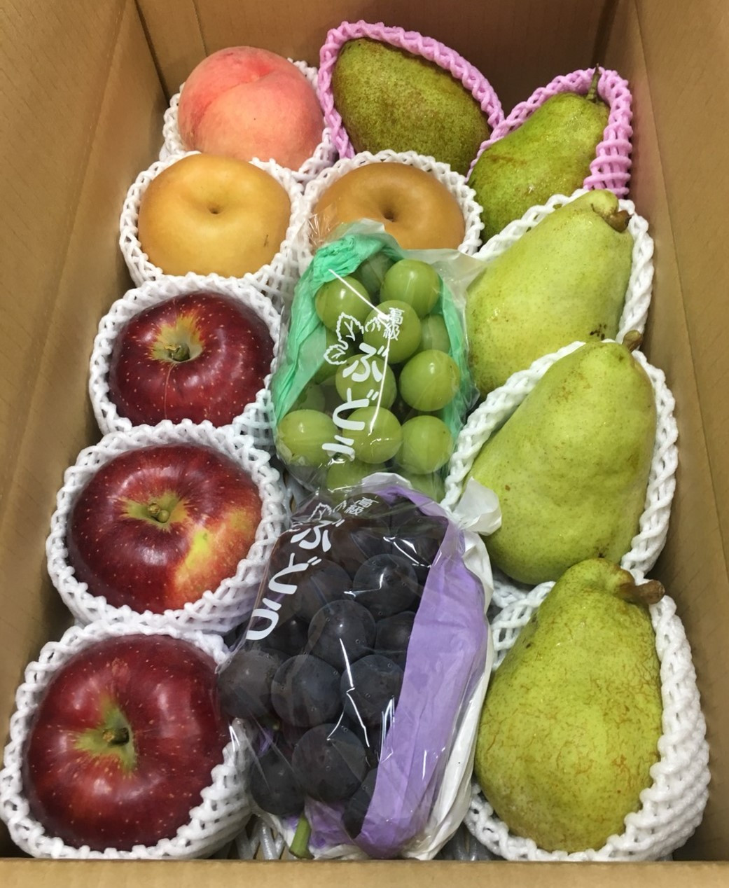 ※写真はイメージです。時期により果物の内容、個数は変わります。