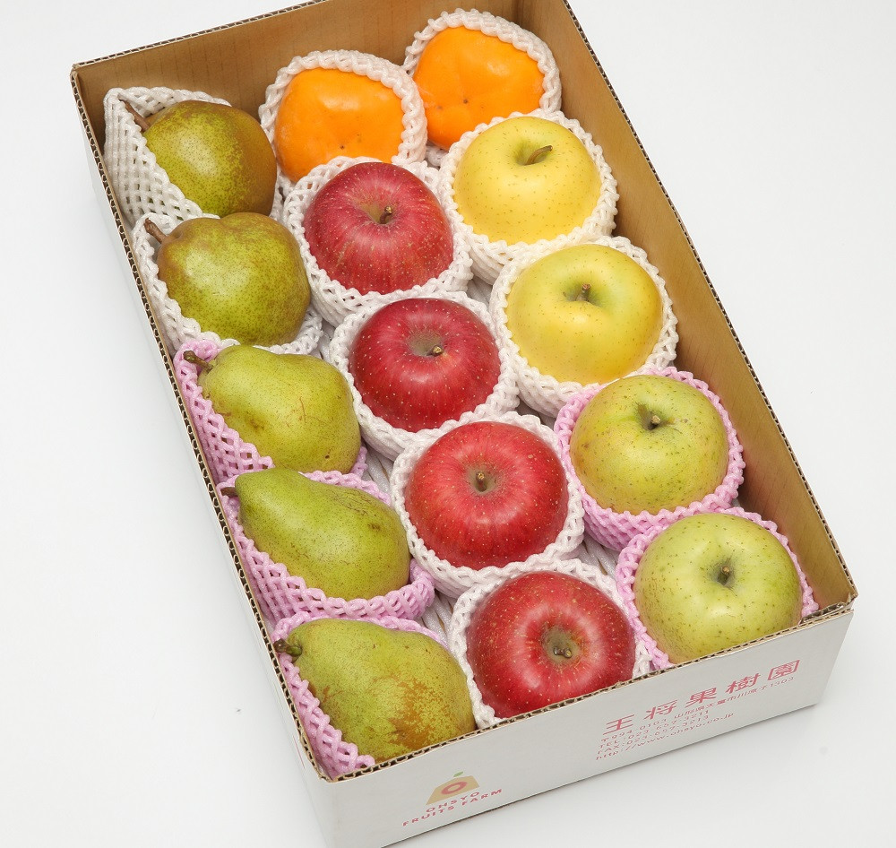 ※写真はイメージです。時期により果物の内容、個数は変わります。