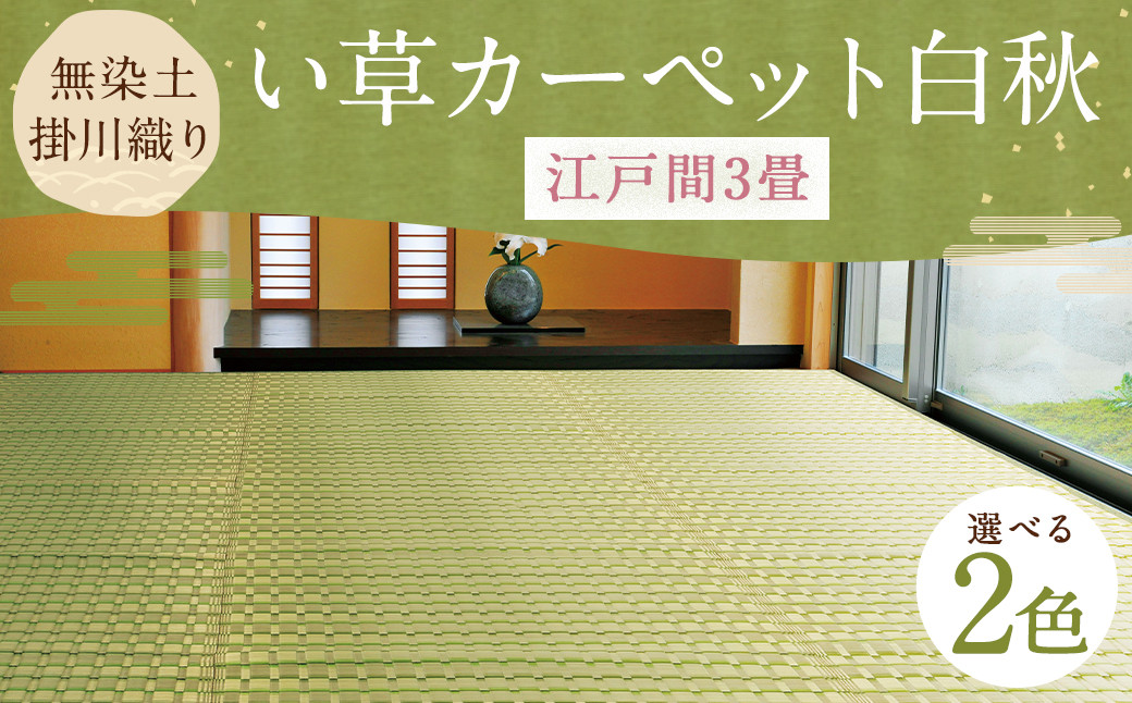 無染土掛川織り い草カーペット 白秋 【江戸間3畳】約174cm×261cm
