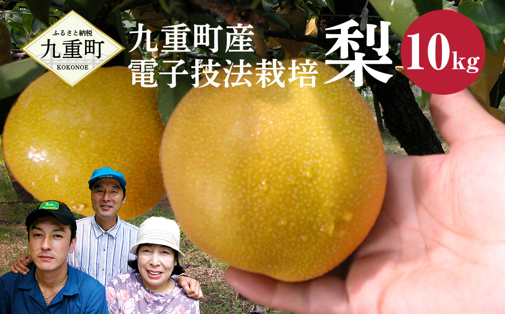 九重町産 電子技法栽培 梨 10kg